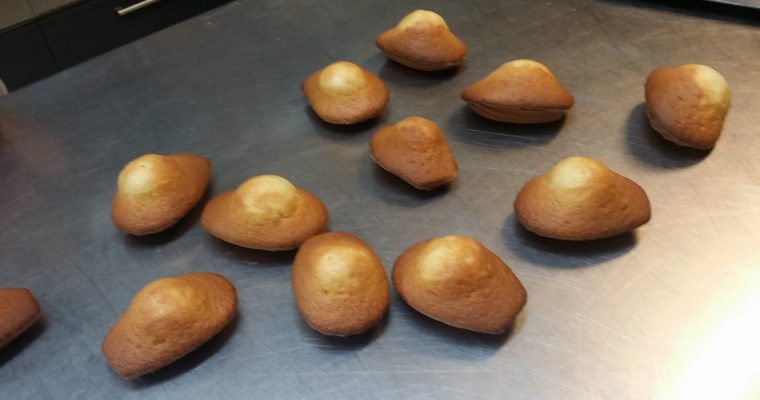 Madeleines