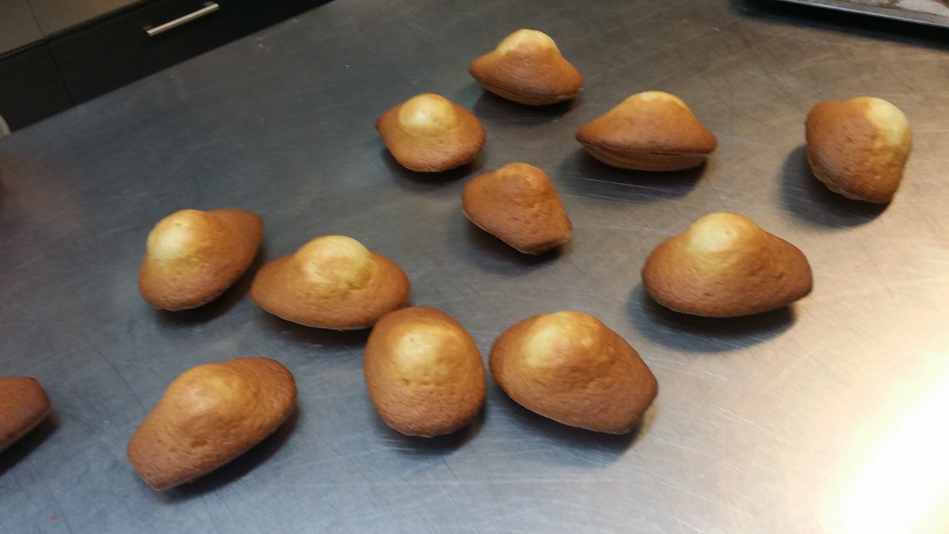 Madeleines