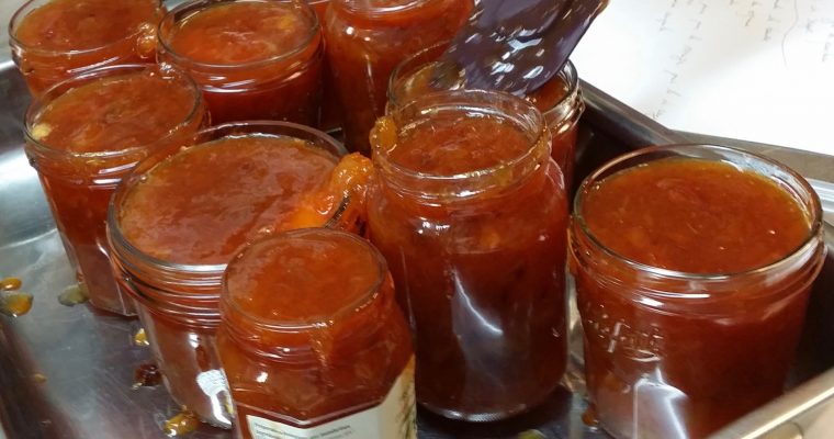 Confiture abricots rhubarbe